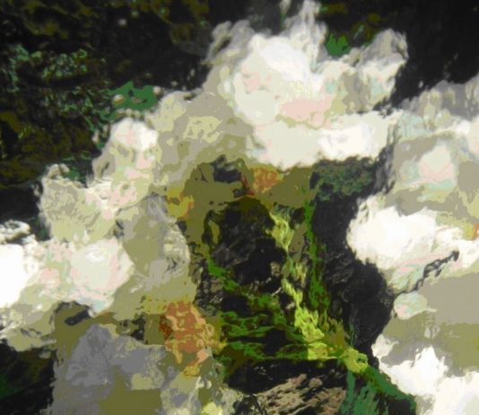 Pierre-Yves Hervy-Vaillant  – Or du miroir