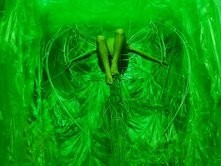 Telemachos Pateris – The three crises