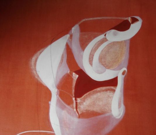 Viviana Pascucci – Corpora