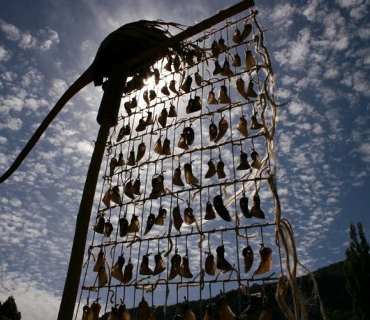 Alejandro Guzzetti – I giardini del vento