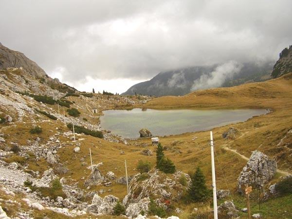 Andrea Lisi – Il verde respiro della naturahttps://www.exibart.com/repository/media/eventi/2008/11/andrea-lisi-8211-il-verde-respiro-della-natura.jpg