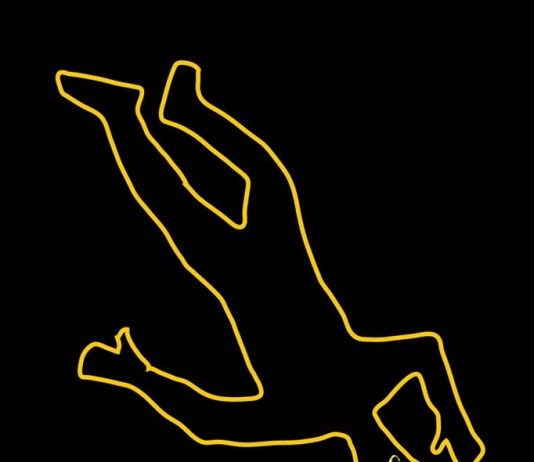 Angelo Cruciani & Robert D. Chendler – System Kills Art