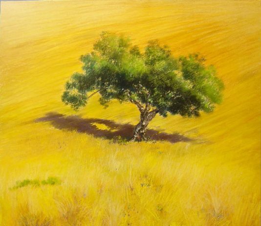 Carlo Cordua – Paesaggi marini e di campagna