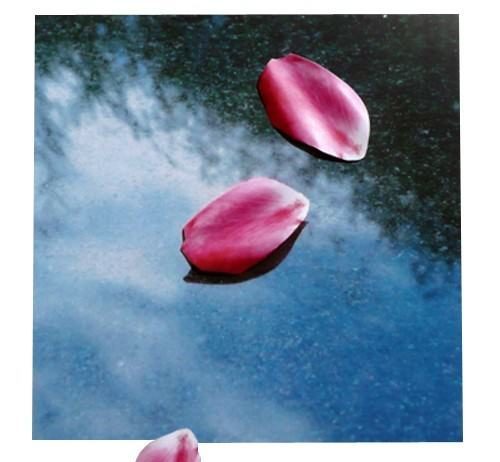 Fabio Bartolozzi – Paesaggi (2006-2008) Fabio Bartolozzi – Paesaggi (2006-2008)