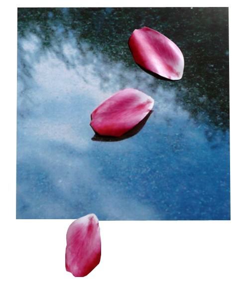 Fabio Bartolozzi – Paesaggi (2006-2008)https://www.exibart.com/repository/media/eventi/2008/11/fabio-bartolozzi-8211-paesaggi-2006-2008.jpg