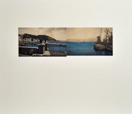 Marcelo Moscheta – Terra incognita