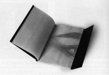 Nazzareno Guglielmi – Rosso è dentro