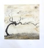 Pietro Battisti – Settima, ovvero delle vigne