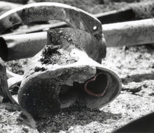 R(evolution} R(evolution}