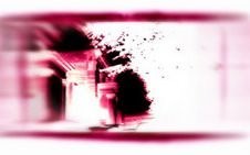 Roberto Giussani – Natura viva, natura morta