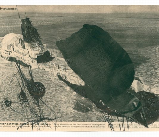 Antony Hegarty – Creek