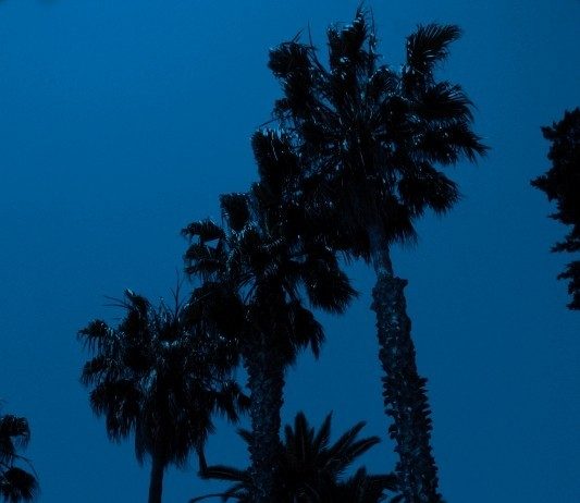 Art for Life Charity auction