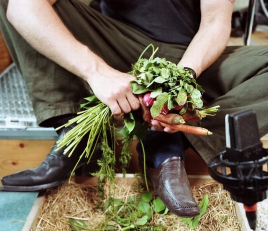 Dani Gal – Seasonal Unrest (Un conflitto che ritorna)