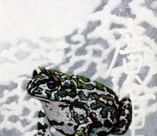 Dante Montisci – Riflessioni