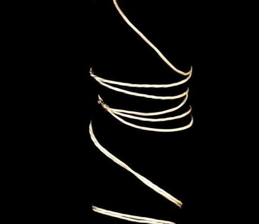 Dario Guarneri – Immobile