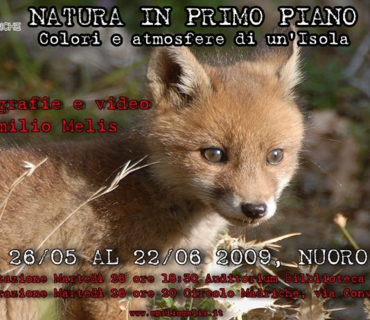 Emilio Melis – Natura in primo piano, colori e atmosfere di un’ Isola Emilio Melis – Natura in primo piano, colori e atmosfere di un’ Isola