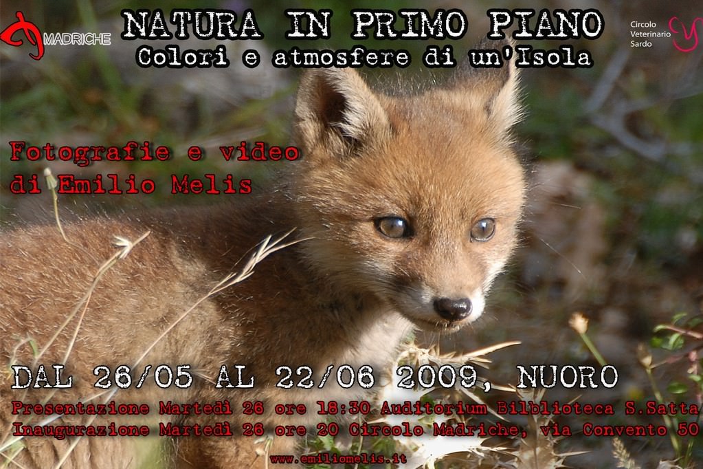 Emilio Melis – Natura in primo piano, colori e atmosfere di un’ Isolahttps://www.exibart.com/repository/media/eventi/2008/12/emilio-melis-8211-natura-in-primo-piano-colori-e-atmosfere-di-un’-isola.jpg