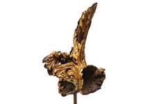 Enrica Barozzi Enrica Barozzi