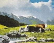 Flavio Ferrari – Montagne e scorci della Valle d’Aosta