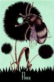 Flora 08 – 2. Edizione