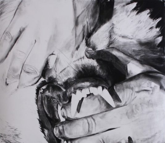 Huber.Huber – I cani non hanno anima