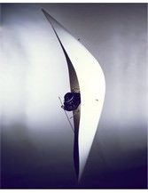 Lorenzo Brusci – Flying dolphin