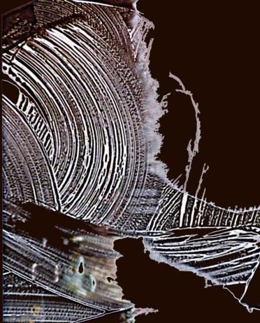 Luciano Fiorini – Il Segno è Dio Luciano Fiorini – Il Segno è Dio