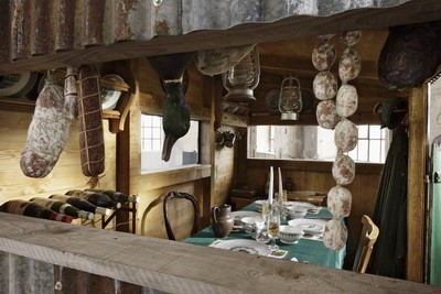 Mark Dion – Concerning Hunting