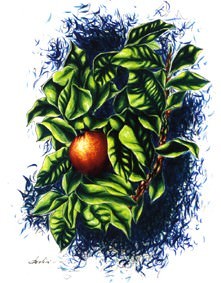 Michele Delisi – Sulla soglia del nulla