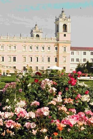 Nel segno del Gigliohttps://www.exibart.com/repository/media/eventi/2008/12/nel-segno-del-giglio.jpg