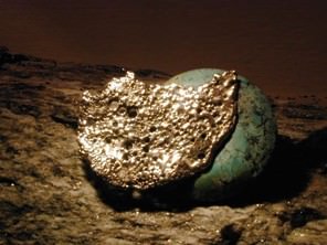 Nicoletta Frigerio – Primitivi Futuri