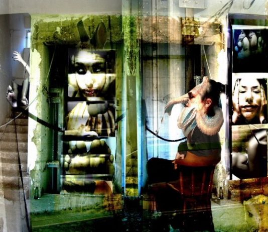 Piera Gemelli – Mediamorfosi del Visibile