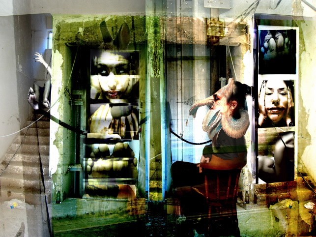 Piera Gemelli – Mediamorfosi del Visibilehttps://www.exibart.com/repository/media/eventi/2008/12/piera-gemelli-8211-mediamorfosi-del-visibile.jpg