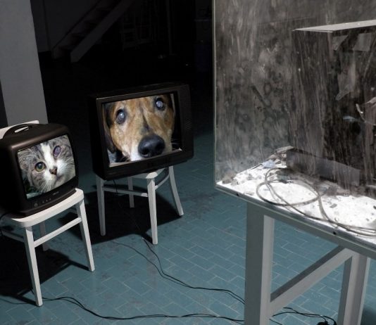 Portage – Adamo’s Home