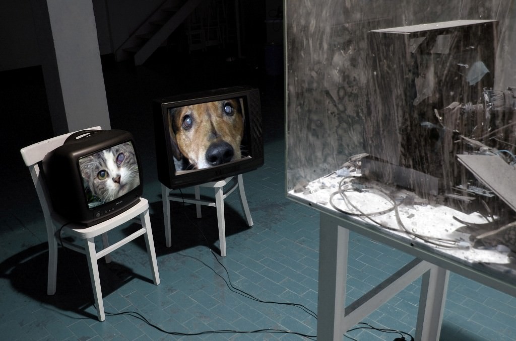 Portage – Adamo’s Homehttps://www.exibart.com/repository/media/eventi/2008/12/portage-8211-adamo’s-home.jpg