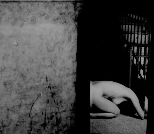 Premio speciale MassenzioArte ai fotografi MArteLive Premio speciale MassenzioArte ai fotografi MArteLive