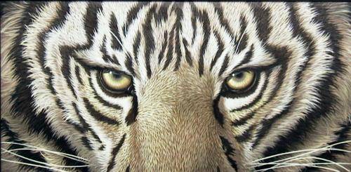 Saverio Polloni – Ritratti?