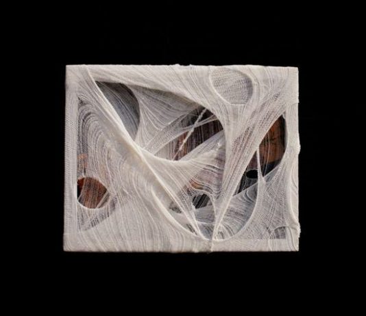 Shafiqul Kabir Chandan – Le sei stagioni di Chandan