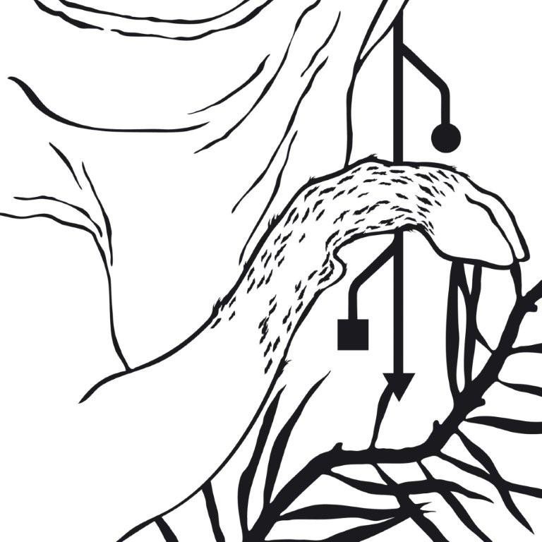 Spot #2 – Roberto Amoroso – A piece of my Arthttps://www.exibart.com/repository/media/eventi/2008/12/spot-2-8211-roberto-amoroso-8211-a-piece-of-my-art.jpg