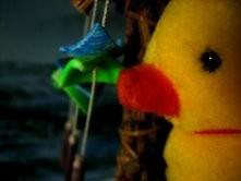 Valentina Oppezzo – Toys Valentina Oppezzo – Toys