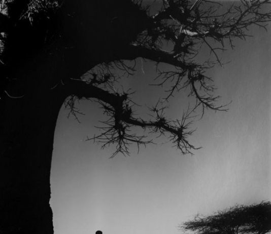 Valeria Necchi / Serena Gallini