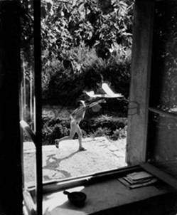 Willy Ronis / Colleziona 2010