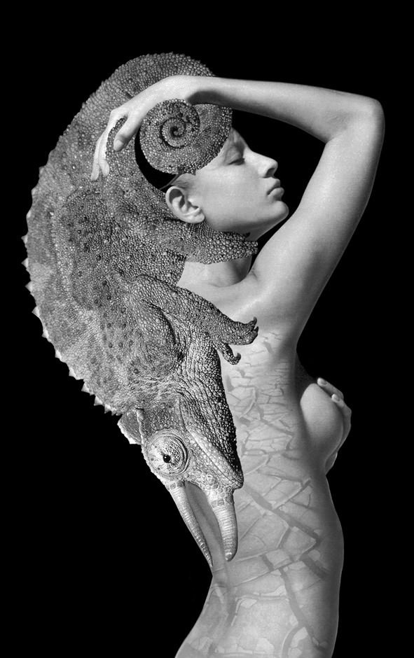 Animal Mirrorshttps://www.exibart.com/repository/media/eventi/2009/01/animal-mirrors.jpg