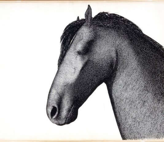 Eli Riva – Opera grafica