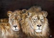 Gianluigi Alberio – Wildlife