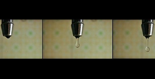 GPG Corporation – FOTOgrammi da Marlene