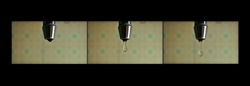 GPG Corporation – FOTOgrammi da Marlenehttps://www.exibart.com/repository/media/eventi/2009/01/gpg-corporation-8211-fotogrammi-da-marlene.jpg