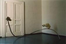 Gerardo Di Fiore – Un mondo di gommapiuma