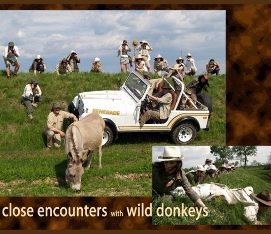 Persisters – Trivignano Dreams Persisters – Trivignano Dreams