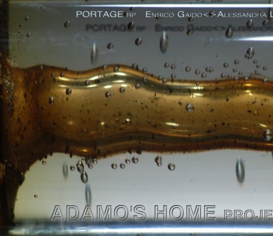 Portage rp – Adamo’s home project